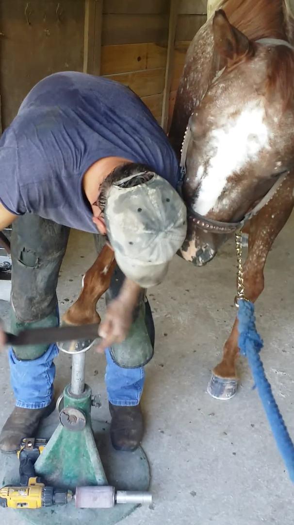 Мастурбатор Коней