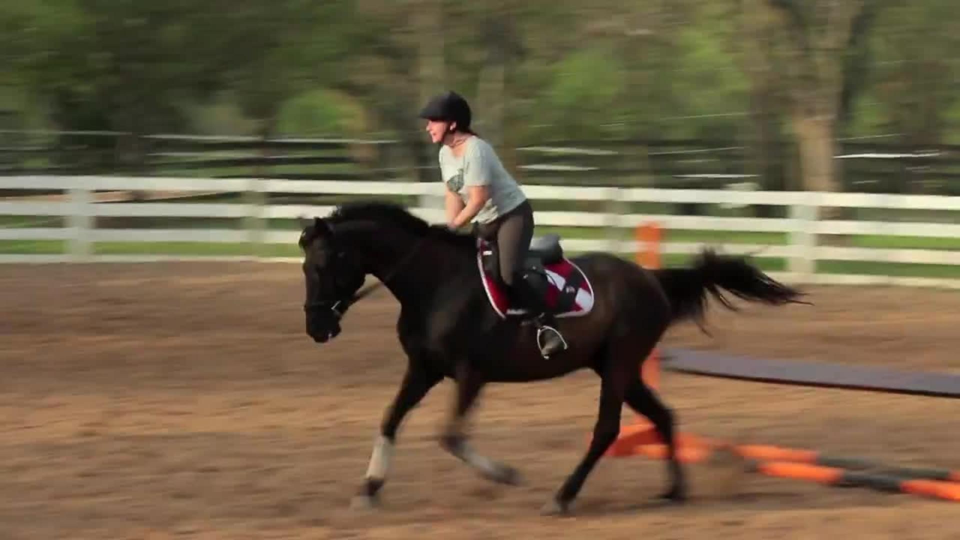 Horse Humping Rider Falls Jukin Media Inc