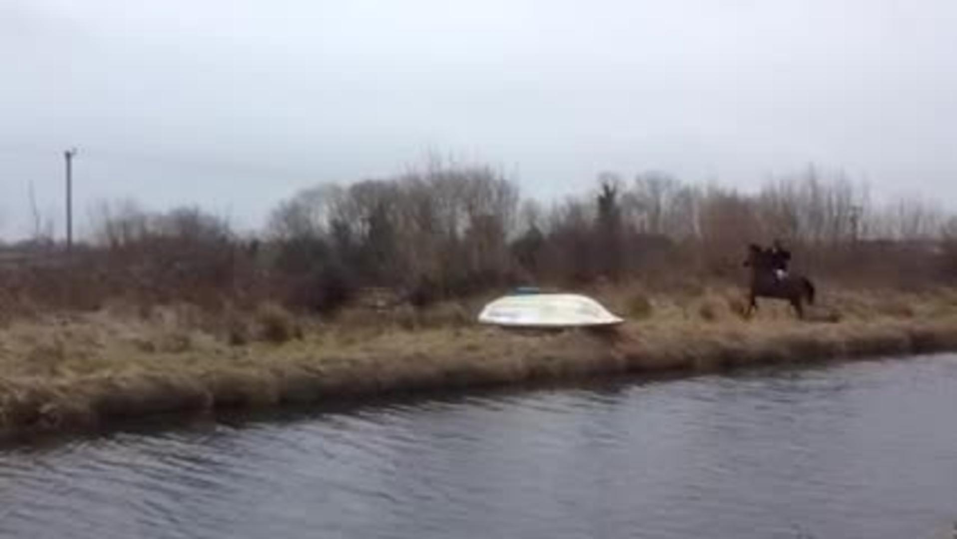 Horse Humping Rider Falls Jukin Media Inc