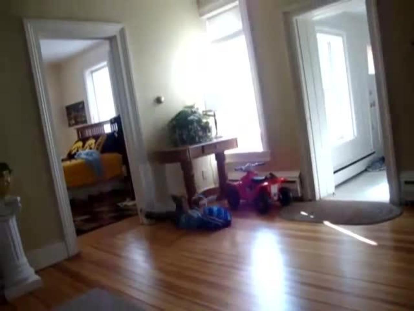 Little Boy Hits Head Against Furniture Jukin Licensing