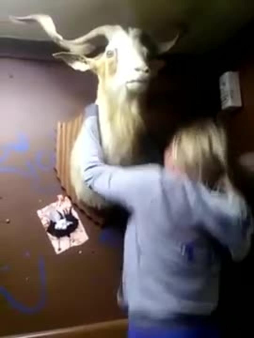 Goat Head Butts Kid Jukin Media Inc