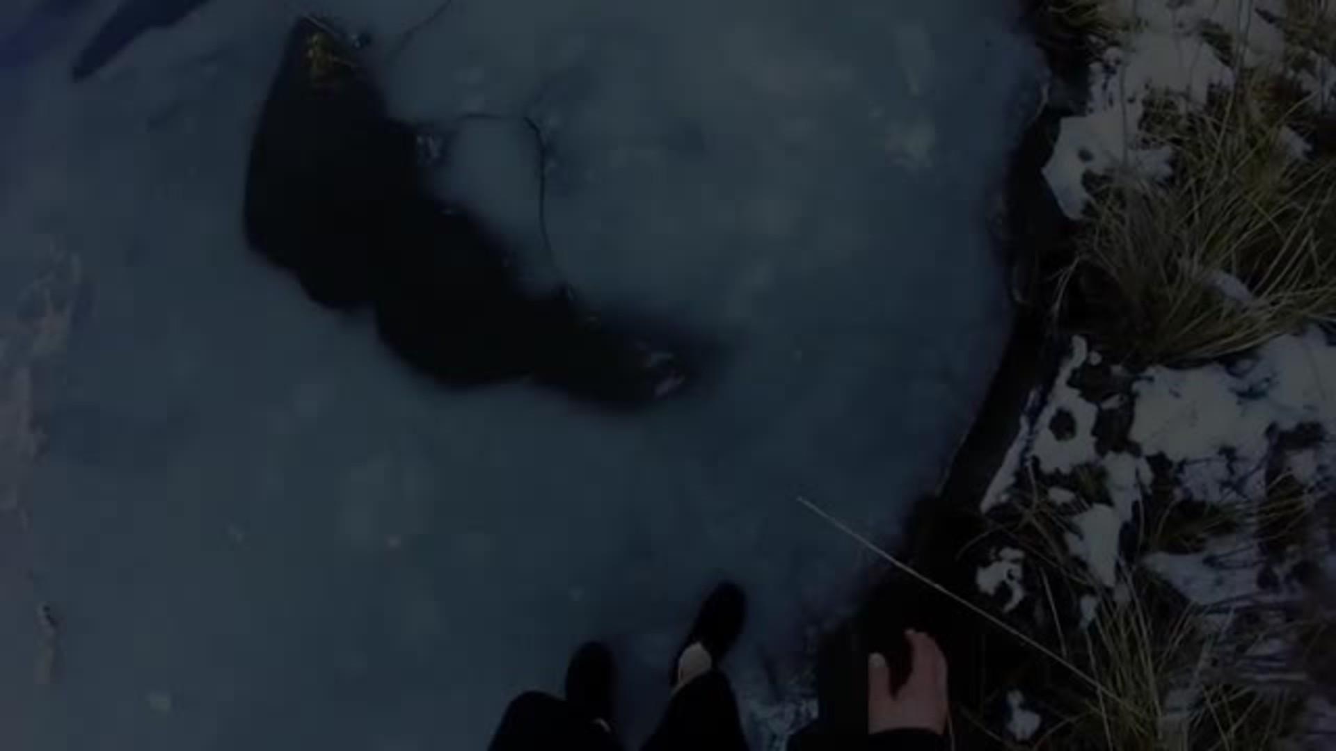 Girl Gets Clothes Wet after Falling into Water Jukin Media Inc