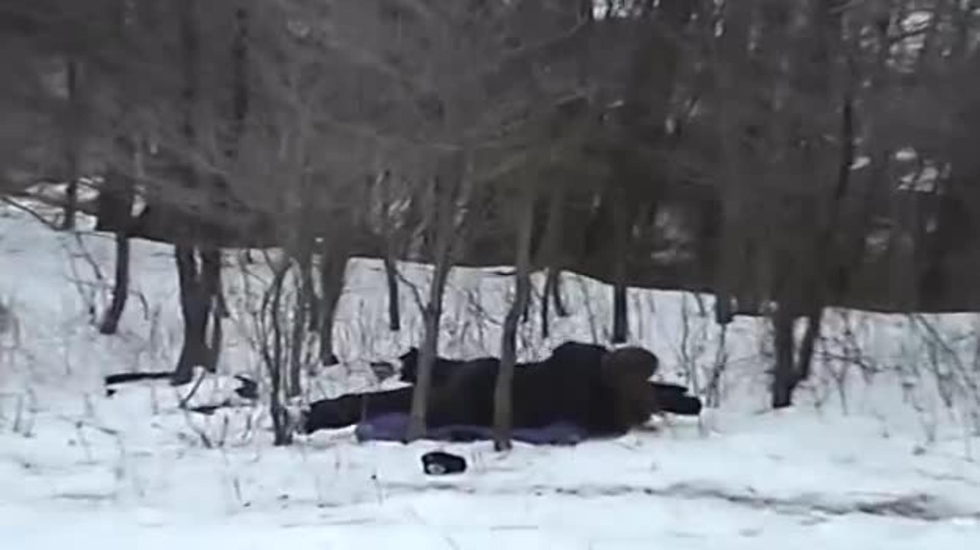 Little Girl Freaks out after Crashing on Sled Jukin Media Inc