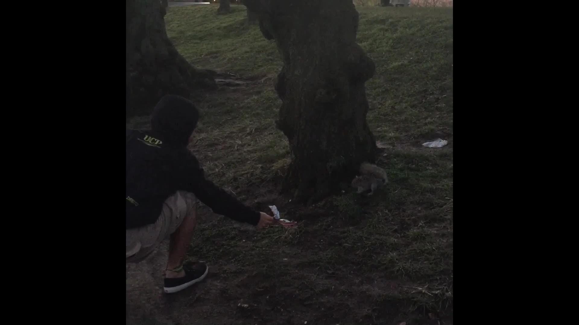 Squirrel Bites Hand that Feeds Him Jukin Licensing