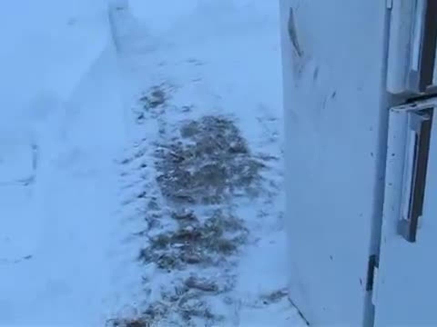 Man Nearly Gets Hit by Exploding Refrigerator Jukin Media Inc