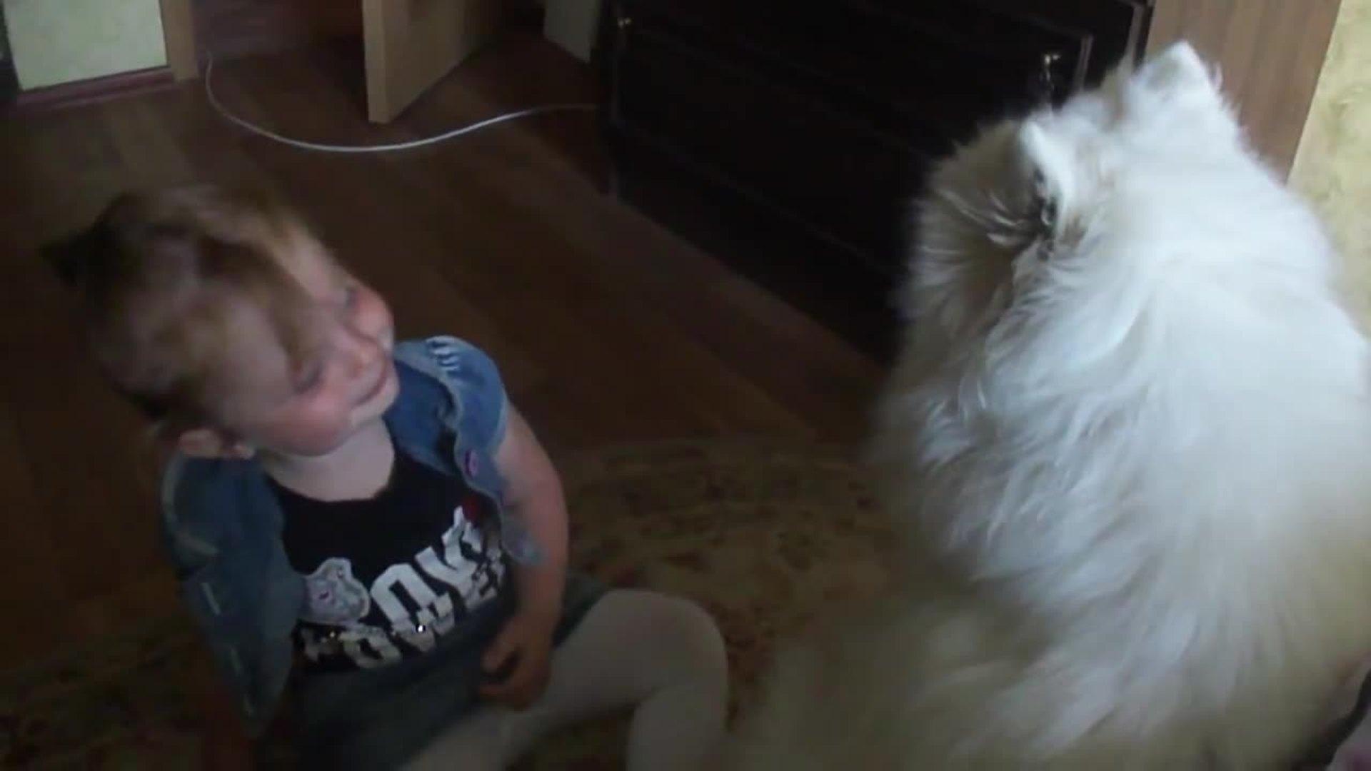 Dog Wont Stop Licking Little Girl Jukin Media Inc