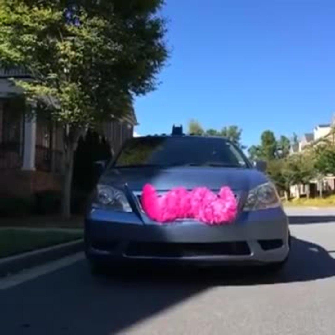 Batdad Watches Ceiling Fan Hit Balloon Jukin Media Inc Batdad Becomes A Lyft Driver