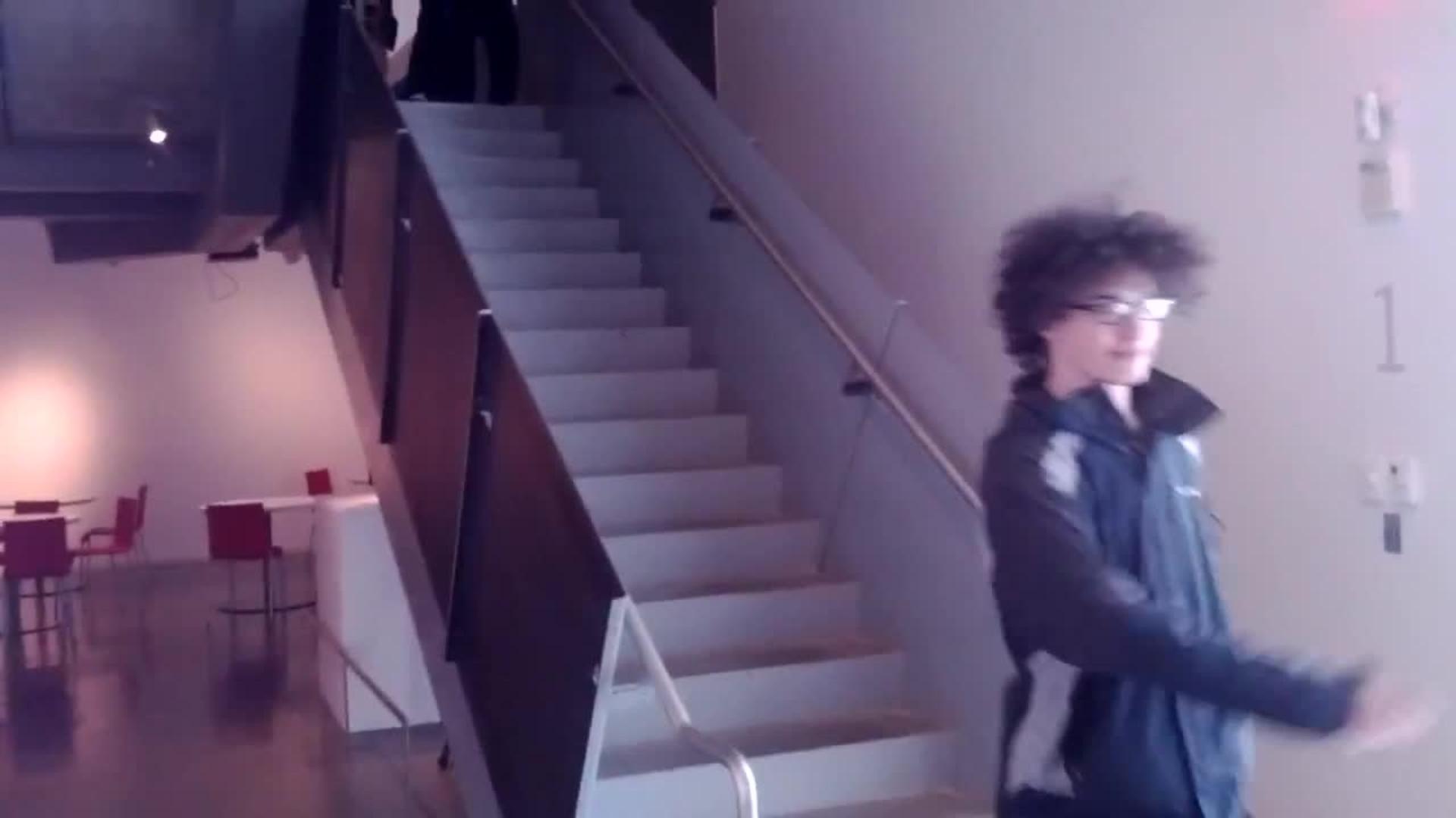 Cockatoo Slides Down Stair Railing Jukin Media Inc