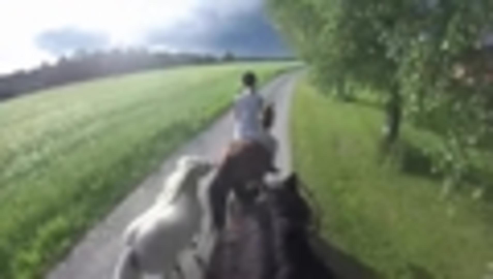 Woman Falls Off Horse Jukin Media Inc