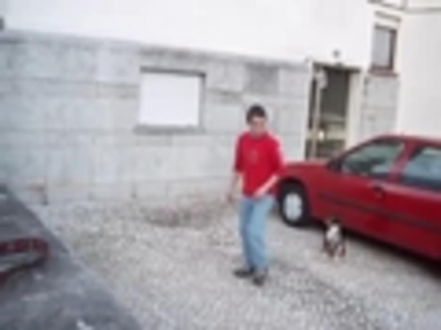 Dog Jumps over Owner and Hits Wall Jukin Licensing
