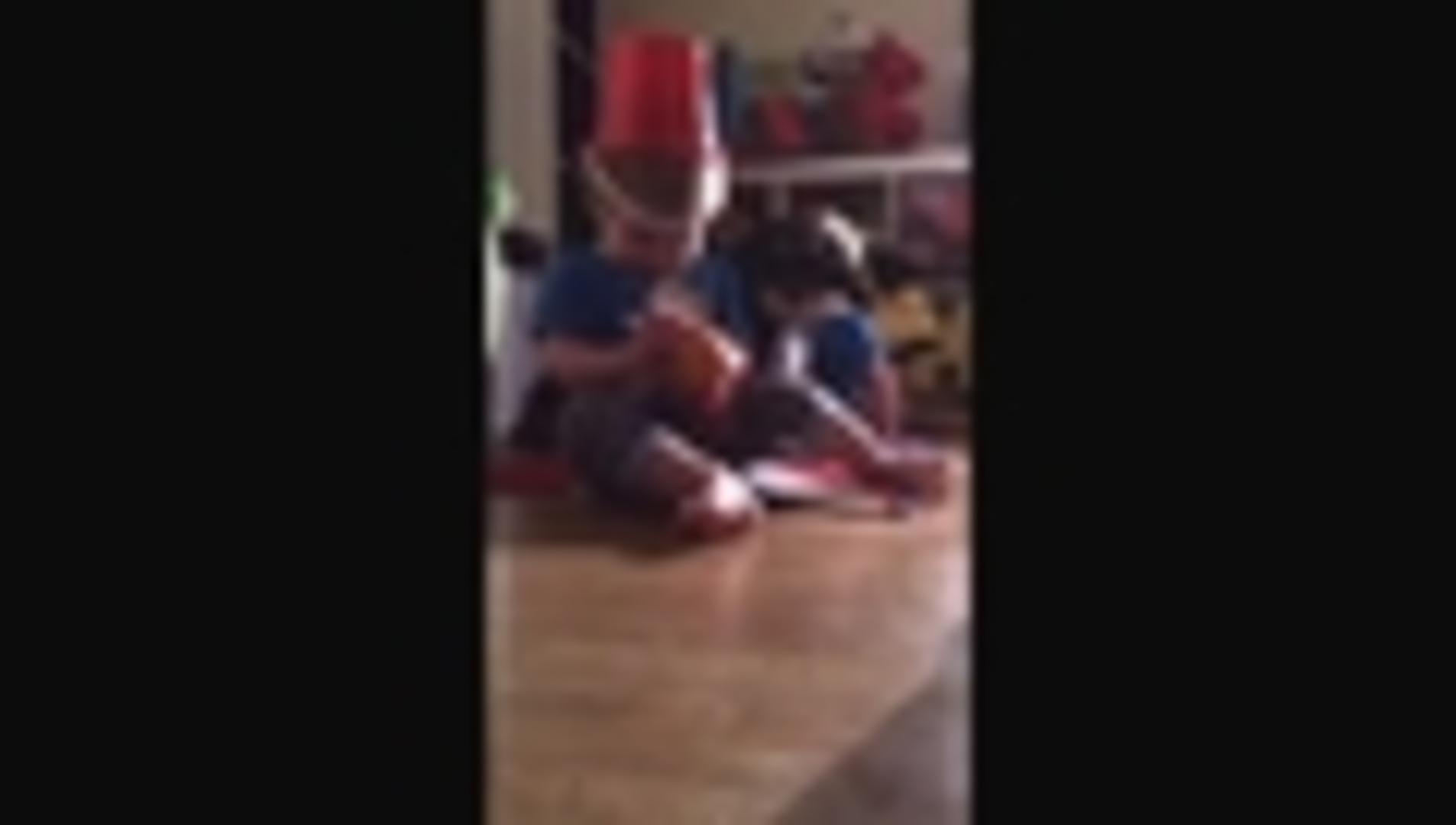 Dog Takes Baby's Toy Away Jukin Licensing