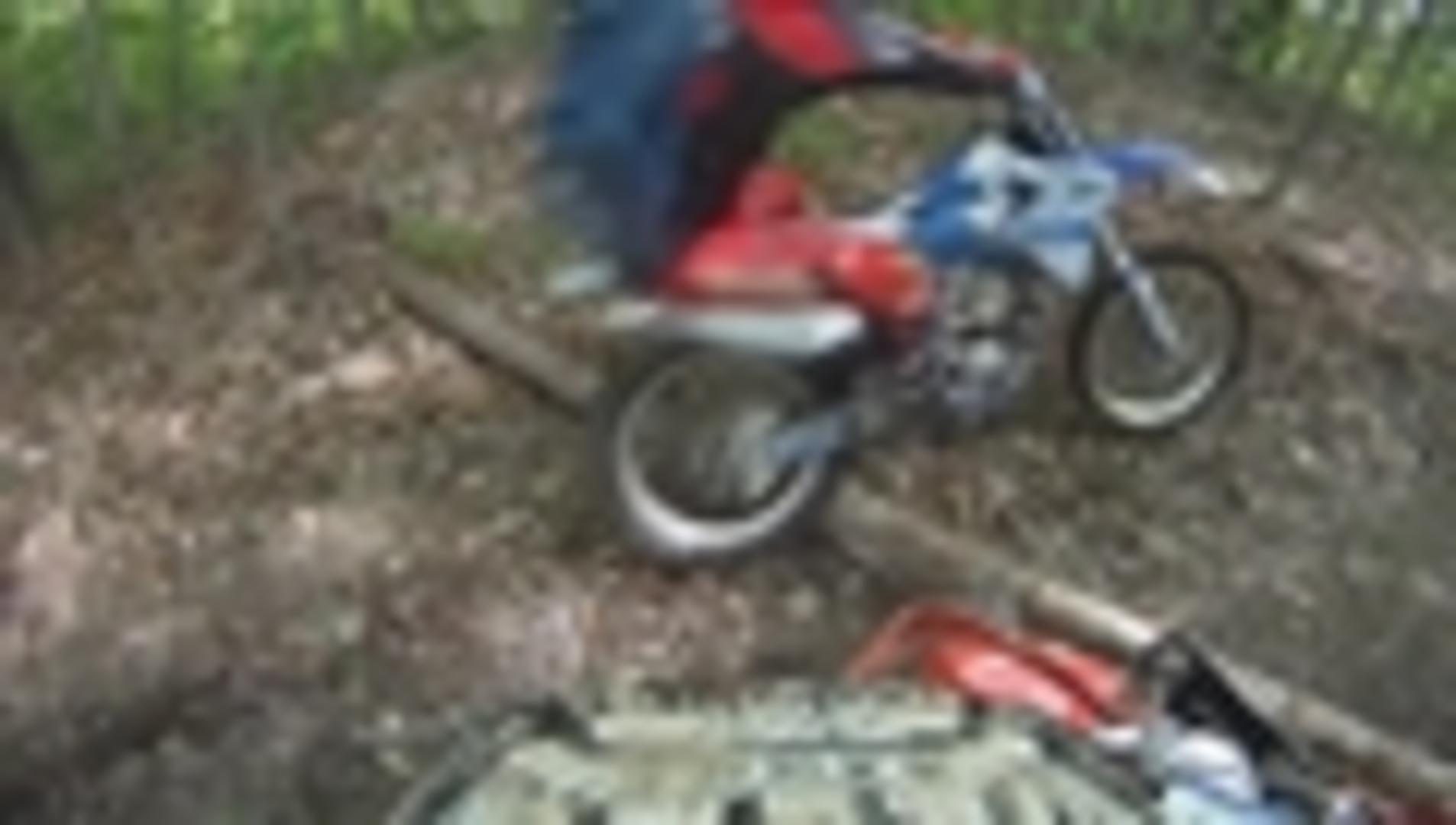 Biker Falls Into Pond As His Dirt Bike Slips Over Fallen Tree Trunk