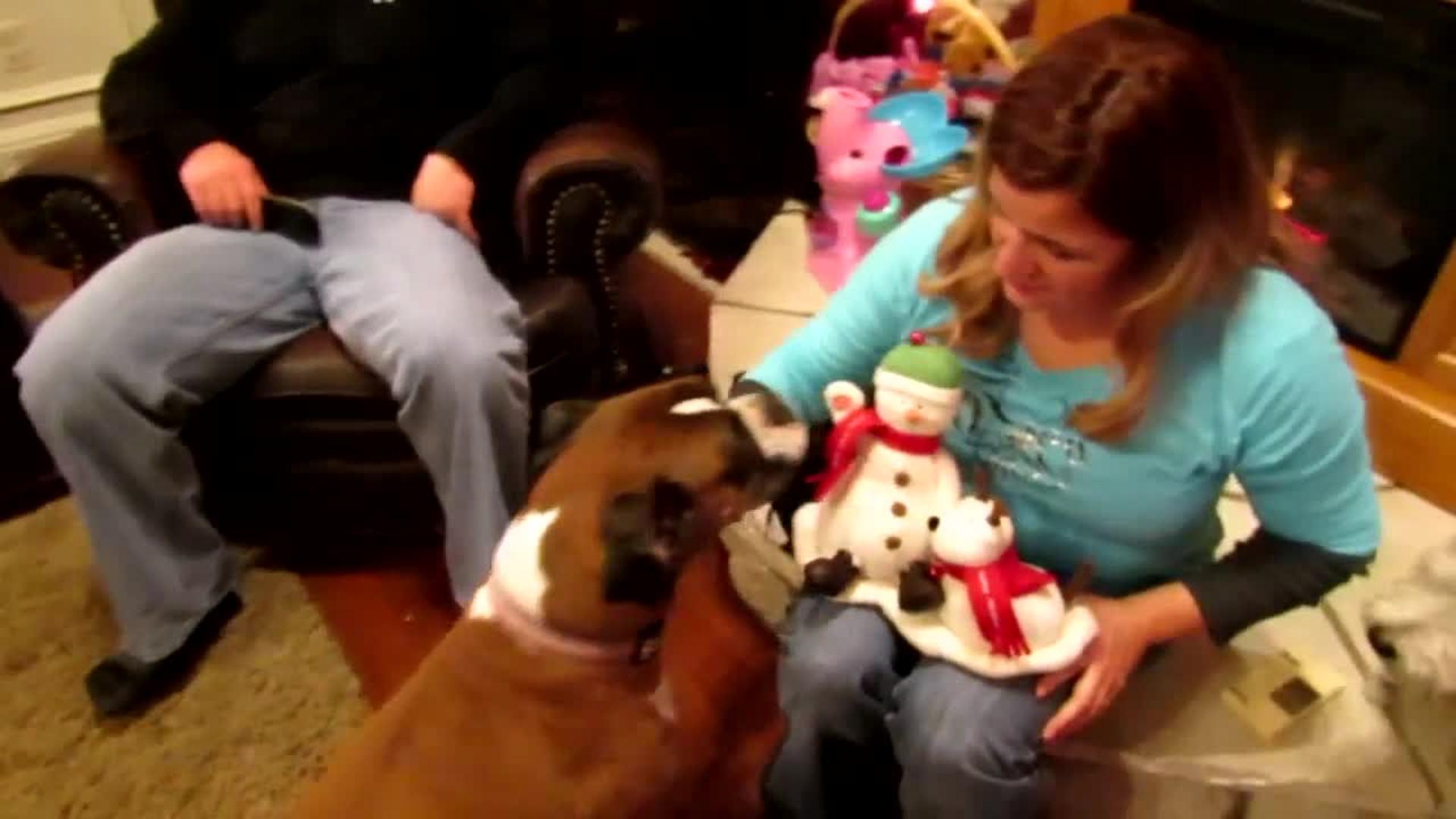 Dog Sings Jingle Bells Jukin Licensing