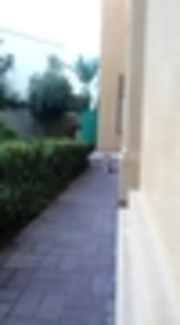 Cat Stalks His Owner Jukin Licensing