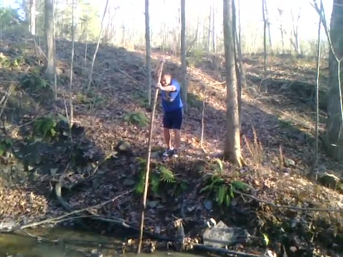 Running Vaulter Breaks Pole Jukin Media Inc