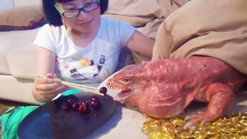 Lizard Eats Cherries Jukin Licensing