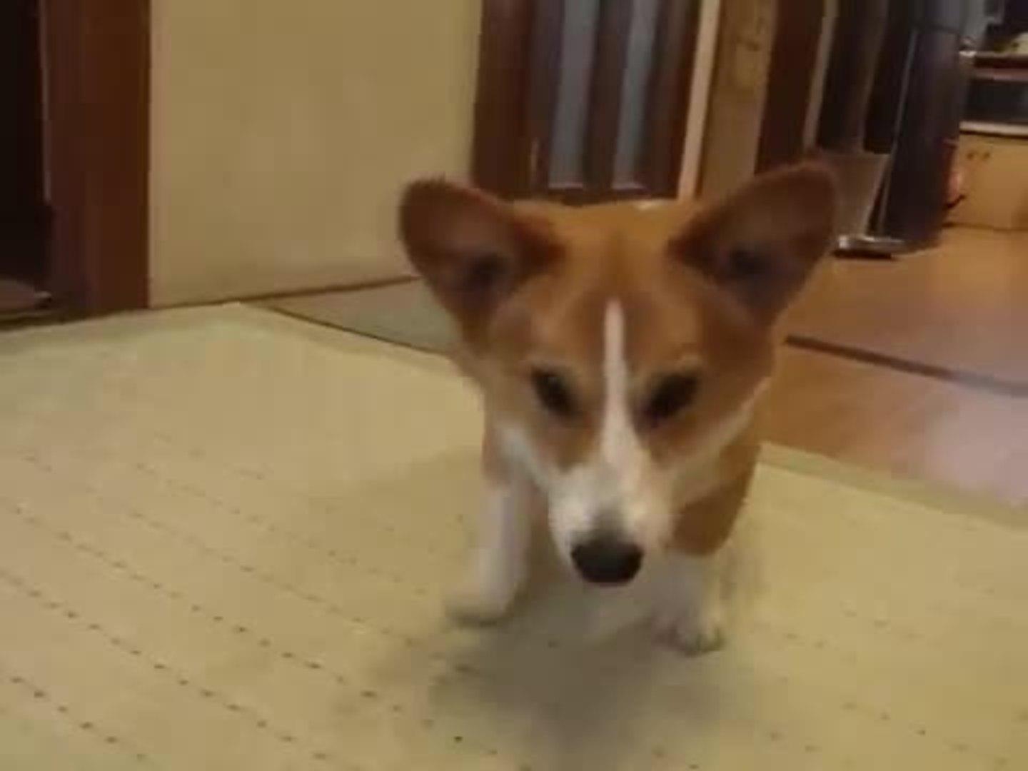 Excited to Play with Owner Jukin Media Inc