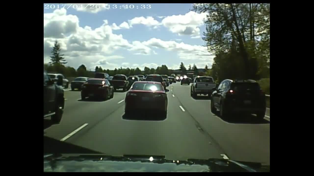 on tree highway falls car on