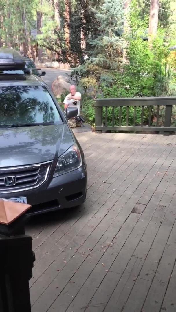 Man Scares Bear with Paintball Gun Jukin Licensing