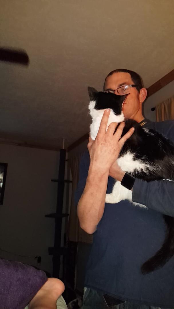 Cat Attacks Owner's Husband Jukin Licensing