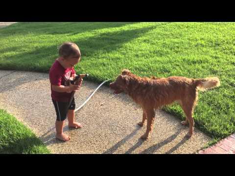 spraying dog with hose