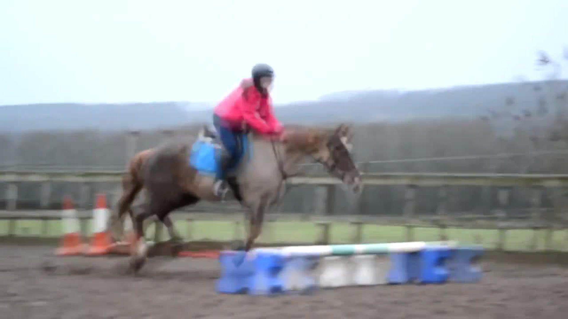 Horse Throws Self and Rider into Water Jukin Media Inc