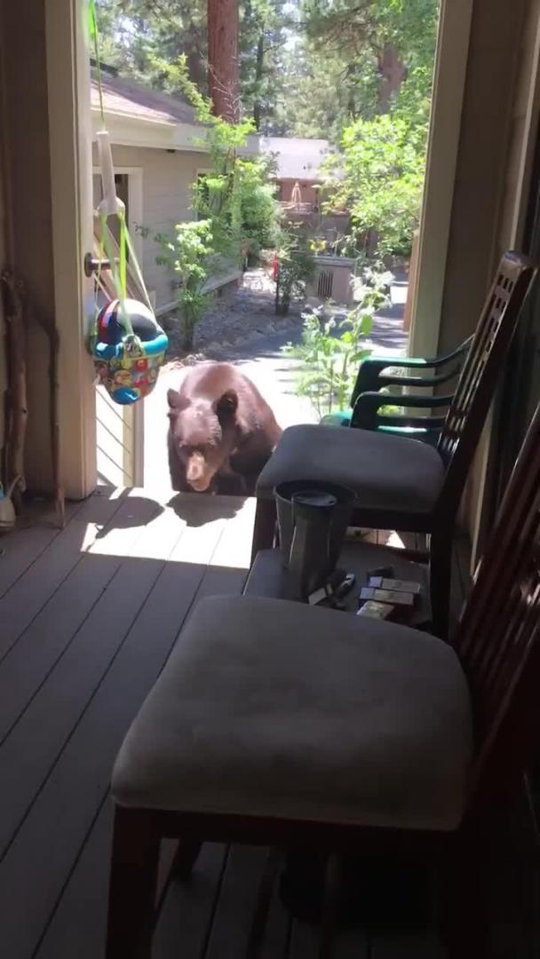 Woman Orders Bear to Get off Porch Jukin Licensing