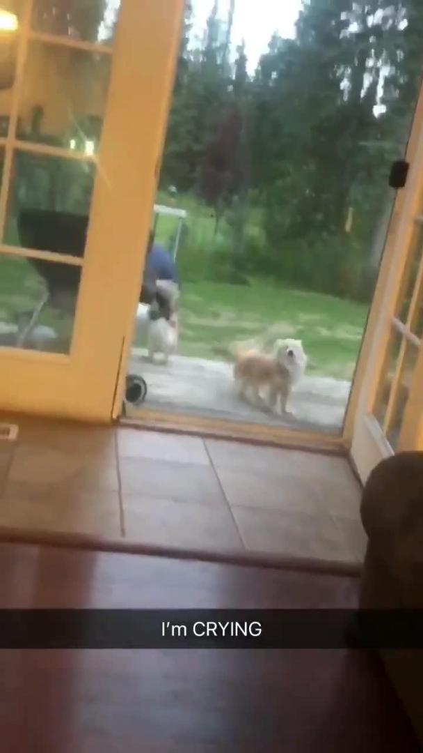 Dog Plays with Baby Bunny Jukin Media Inc