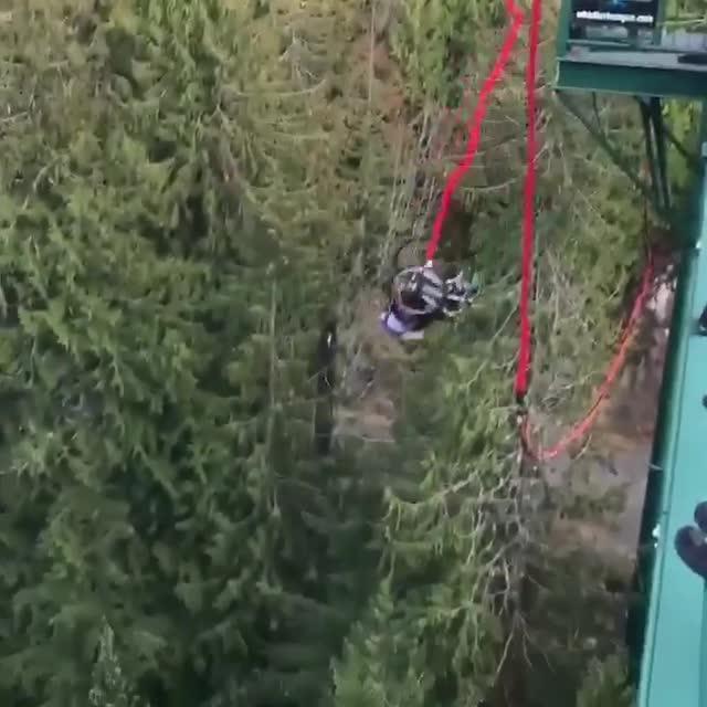 Person in Wheelchair Bungee Jumps off Bridge Jukin Licensing