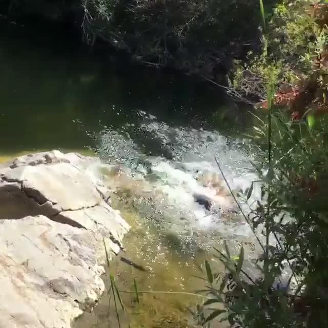 Woman Slips While Sitting and Posing on Rock and Falls in Water Jukin