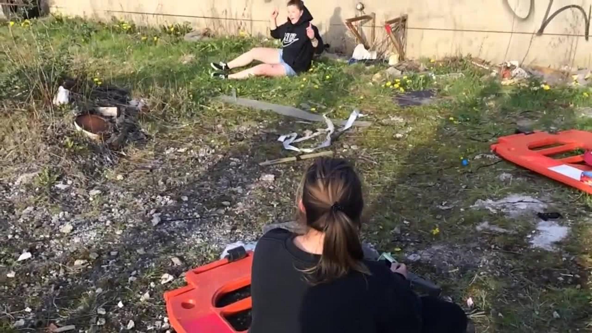 Dj sarah. Щитник-черепашка жук пикассо. Amazing crazy. Amazing crazy. Amazing crazy.