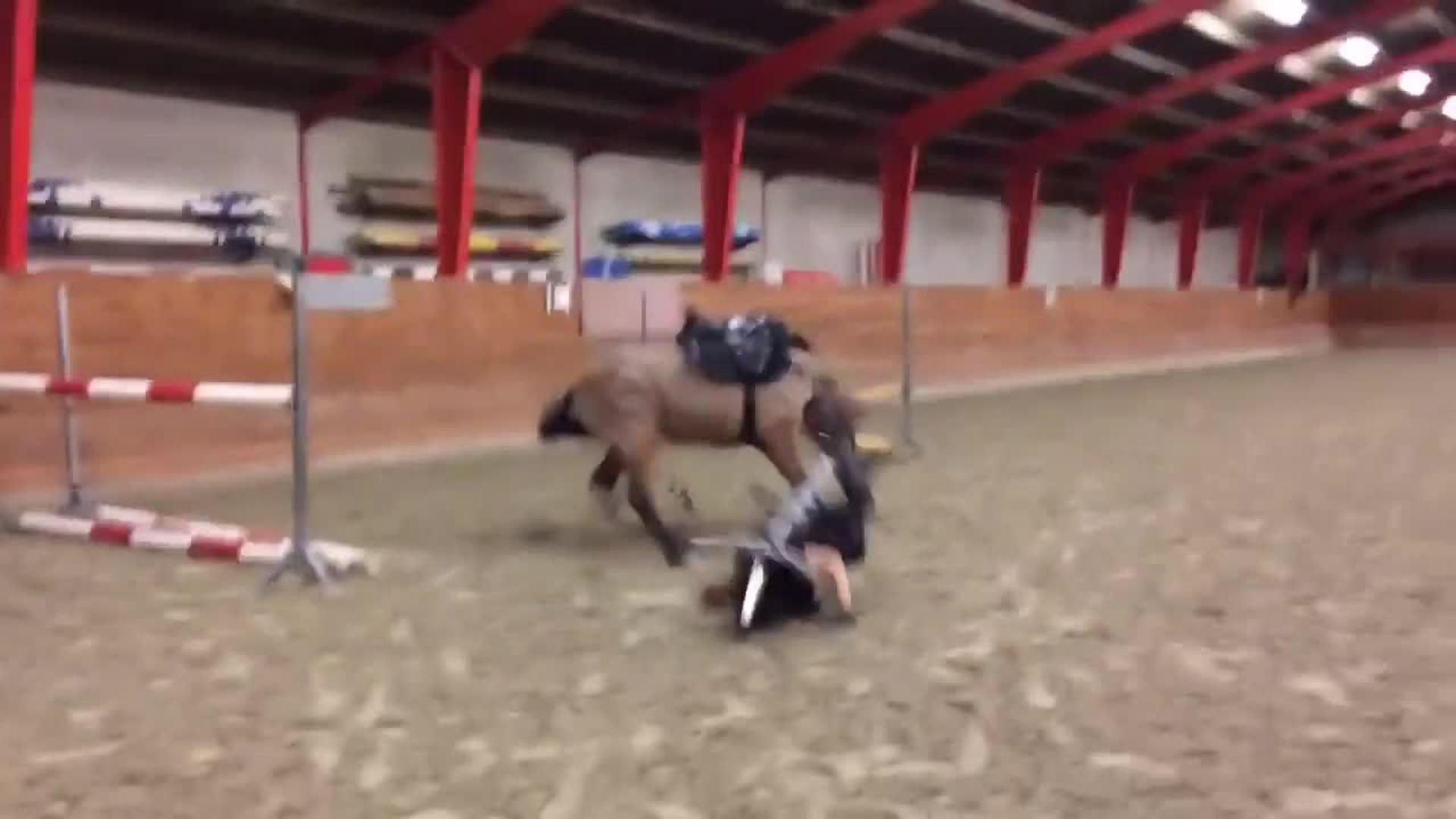 Girl Bucked Off Donkey Jukin Media Inc