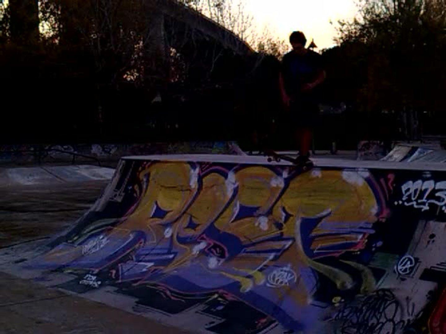 Skateboarding Skate Park Rail Nutshot Jukin Licensing