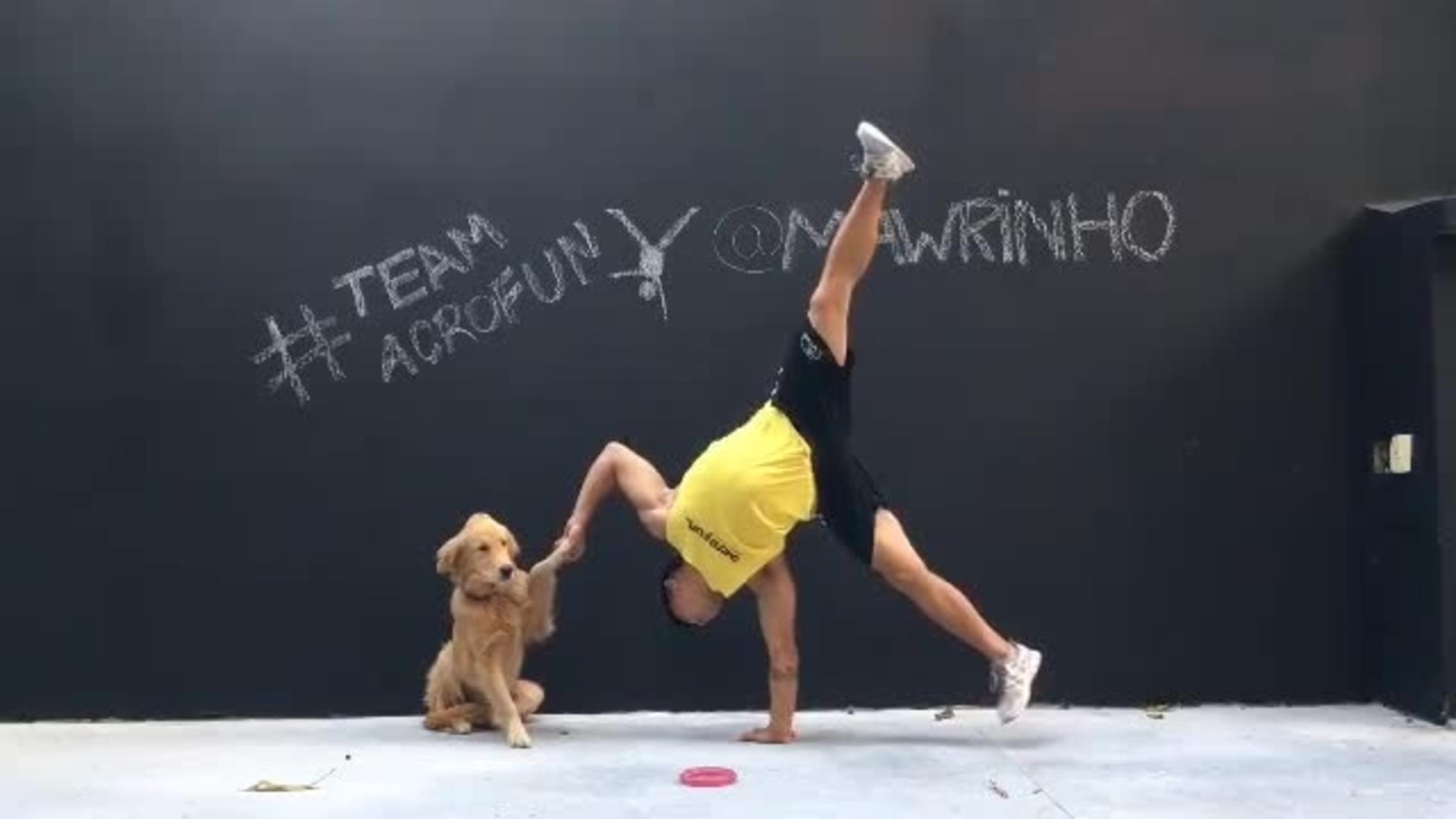 Dog Performs Handstand with Owner Jukin Media Inc