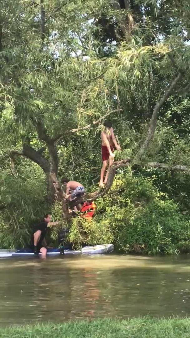 Guy Gets Hit in Face with Branch Breaking Down Tall Tree Jukin Media Inc