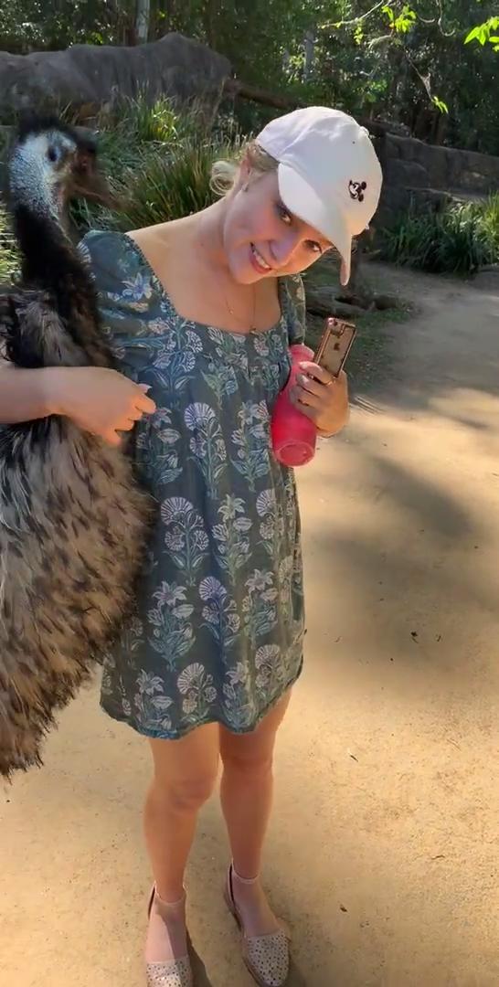 Emu at Wildlife Sanctuary Approaches Girl For Hugs Jukin Licensing