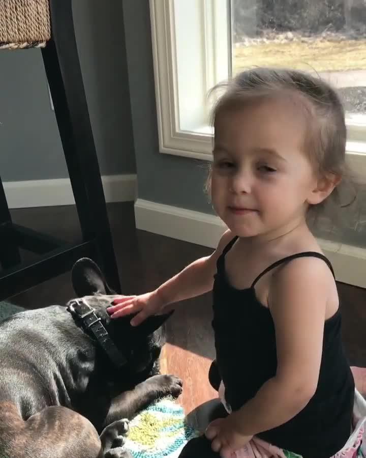 Dog Wont Stop Licking Little Girl Jukin Media Inc