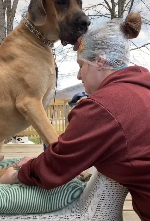 Woman Smears Peanut Butter on her Forehead to Distract her pet Dog