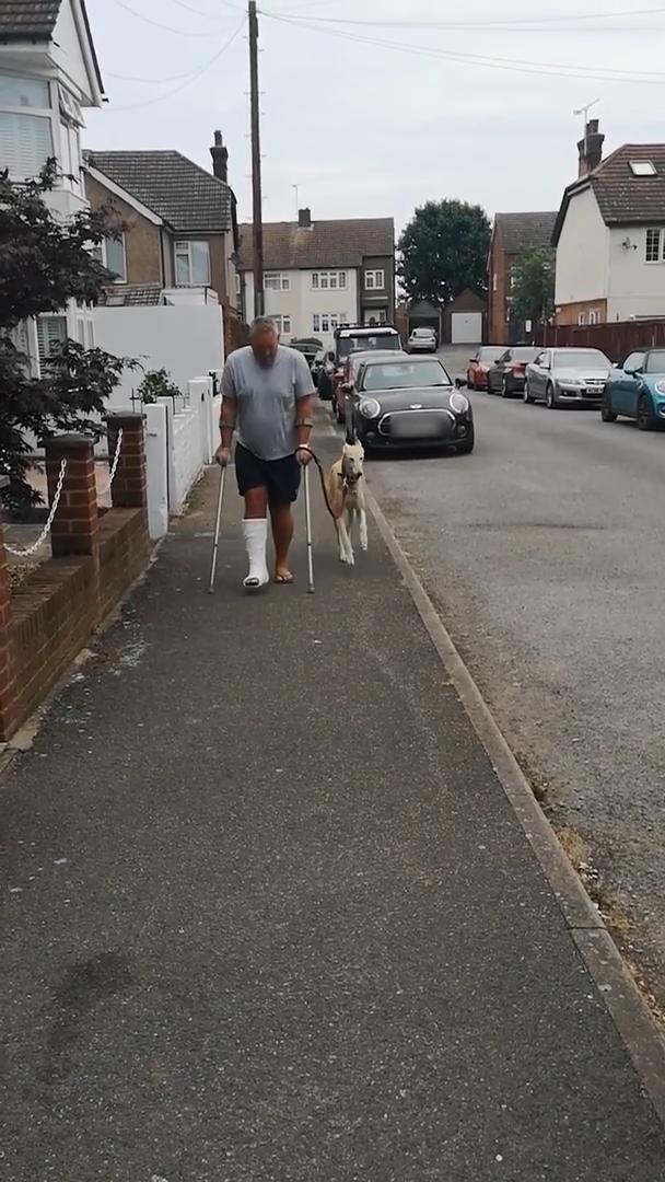 Dog Pretends To Walk With A Limp Like Their Injured Owner Out Of Sympathy Jukin Licensing