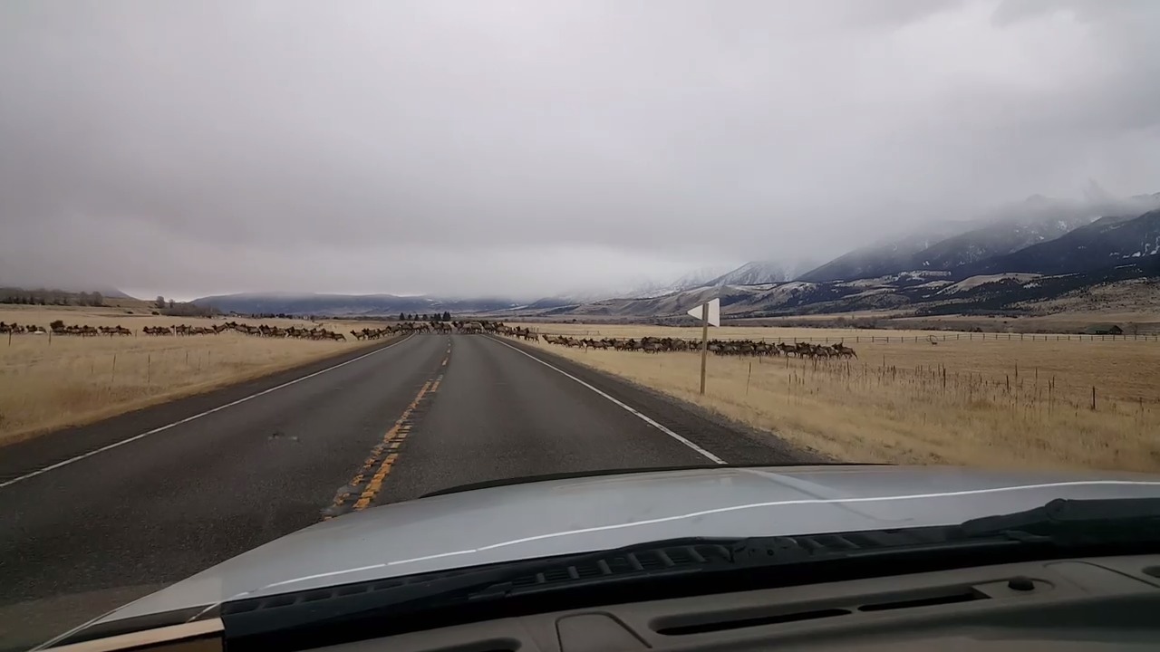 Thesis company profile image