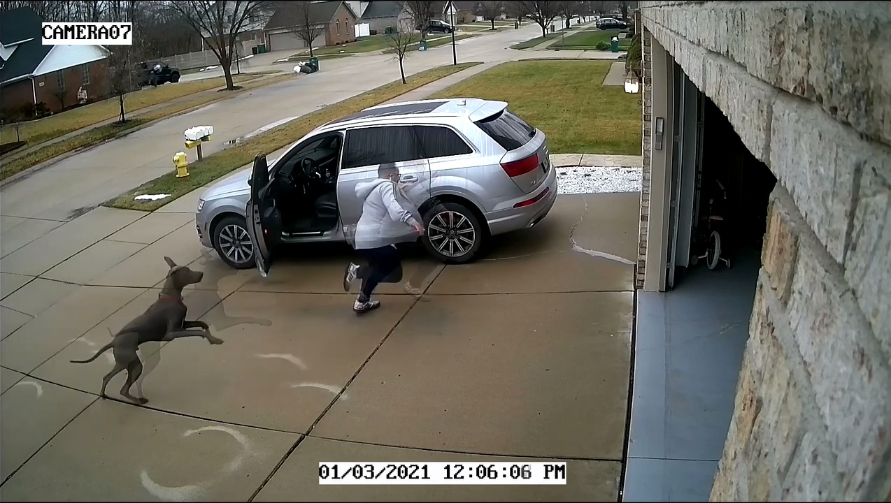 Man Taking Out Trash Gets Chased by Neighbor's Dog Jukin Licensing