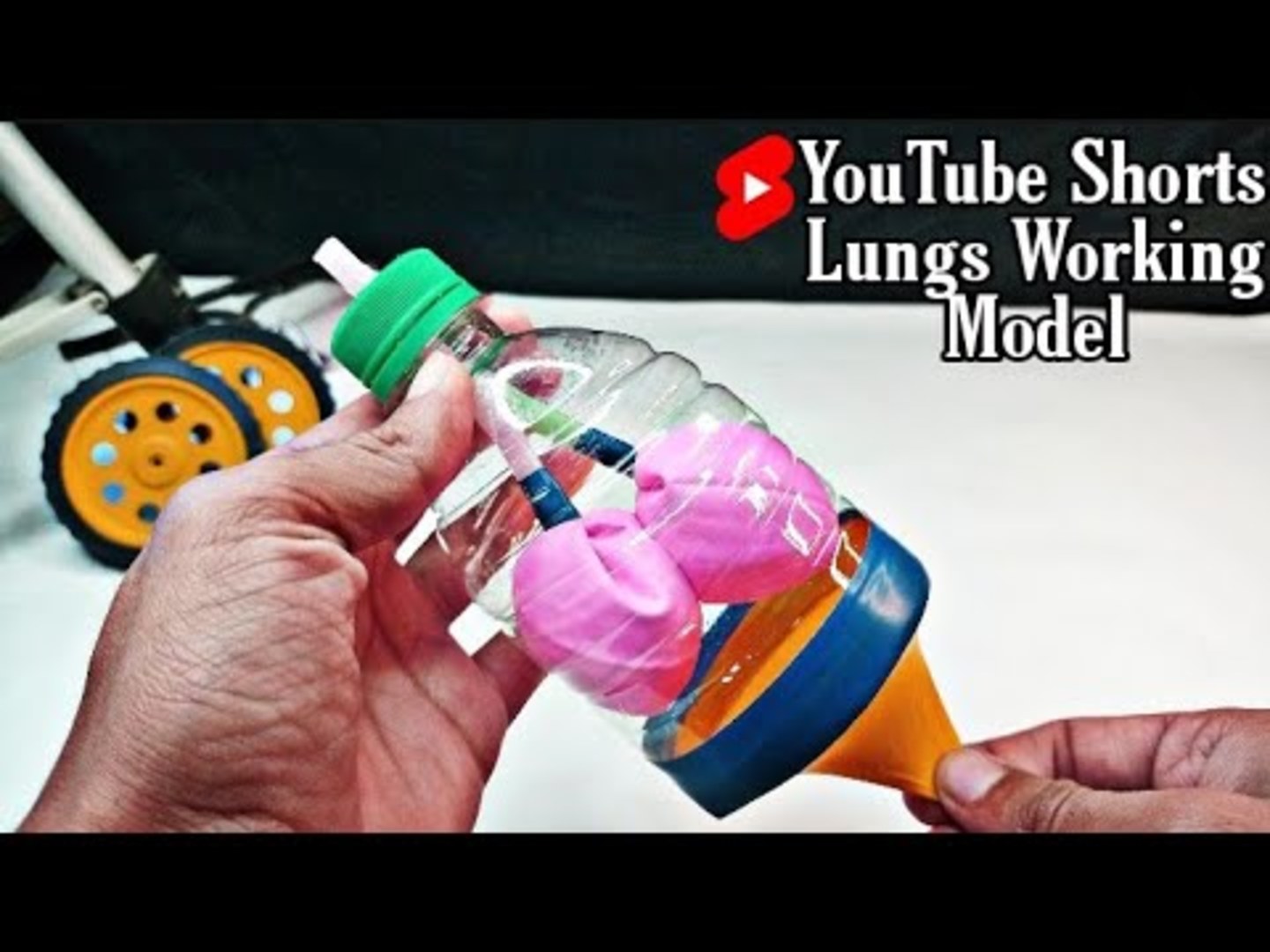 Person Creates Working Model of Lungs With Plastic Bottle and Balloons