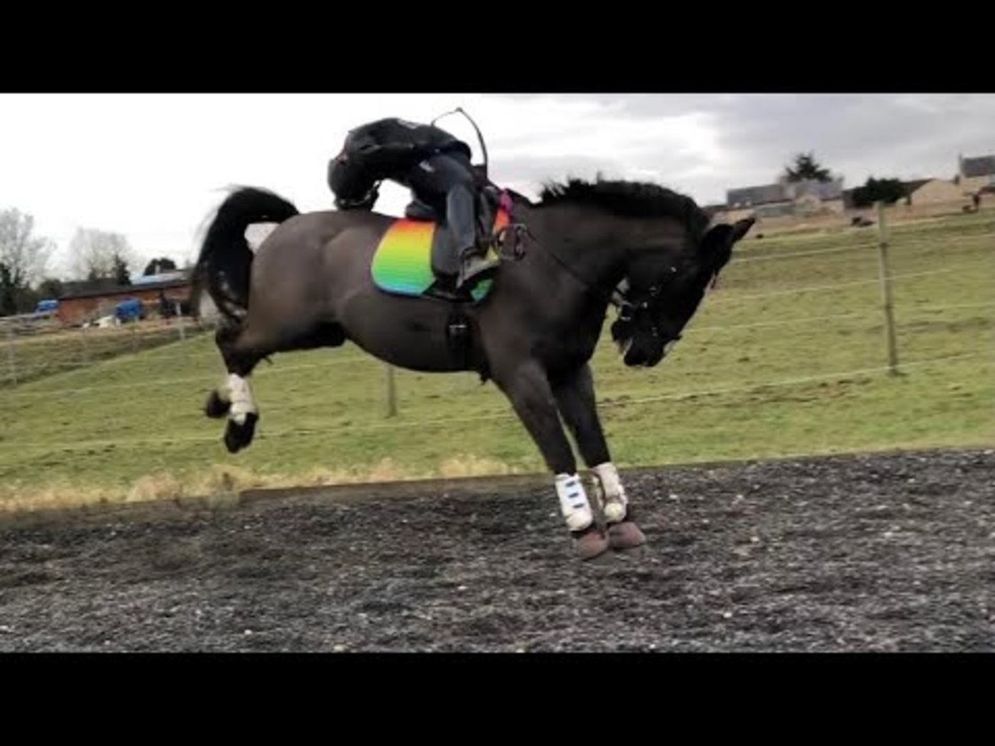 Horse Bucks and Throws off Rider From his Back Jukin Licensing