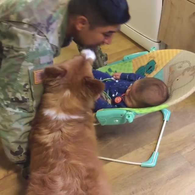 Gets Jealous When Dad Kisses Baby Jukin Licensing