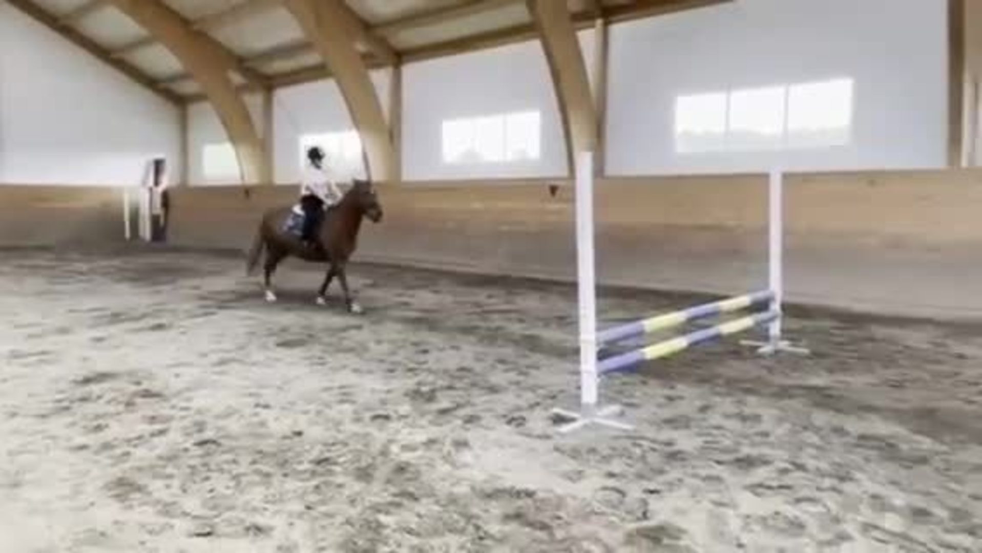 Girl Loses Balance And Falls As Horse Stops Before Barrier While Riding