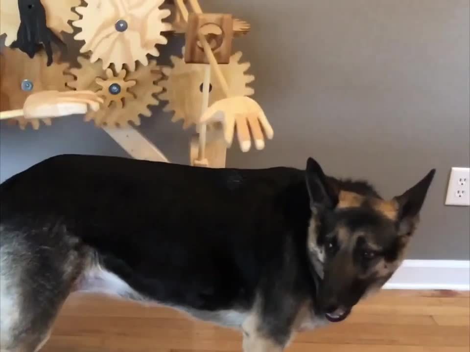 Automatic Dog Petter Jukin Licensing