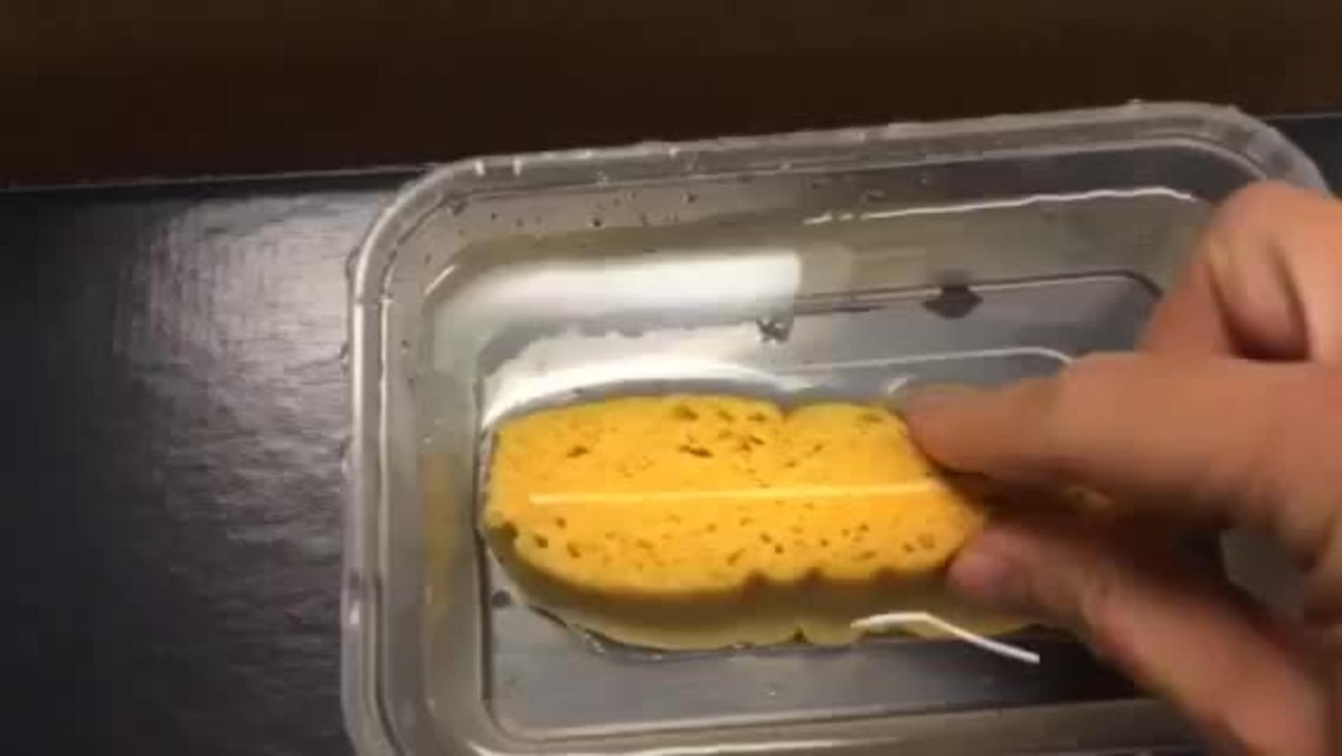 Sponge Expands in Water Jukin Licensing