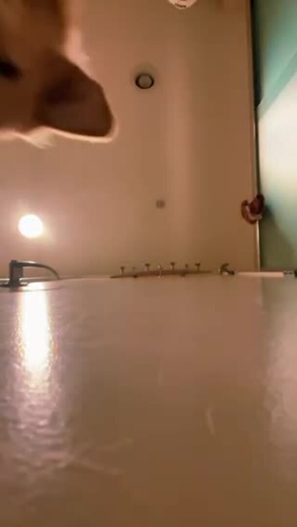 Dog Jumps on Phone as Owner Slides it Out From Under Door Jukin Licensing