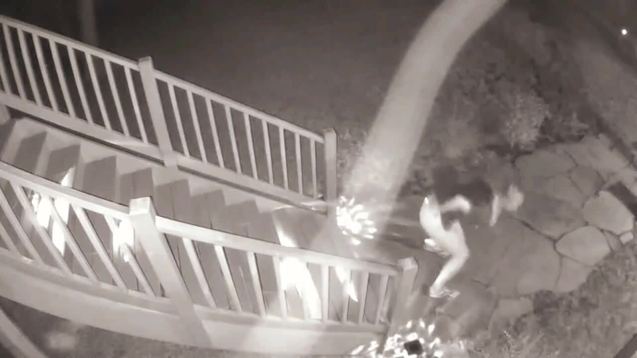 Girl Slips and Falls Down Multiple Stairs While Walking Downstairs Jukin Licensing