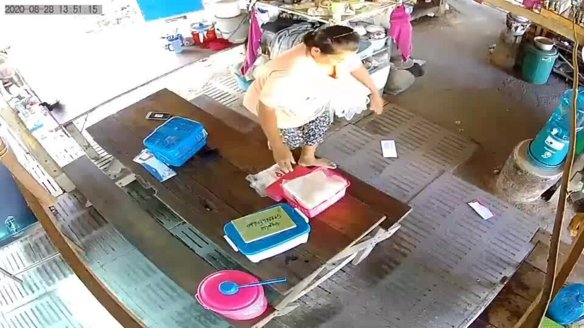 Snake Scares Woman Onto Table Jukin Licensing